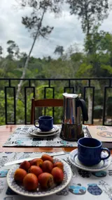Amazonian retreat overlooking the river - Image 2