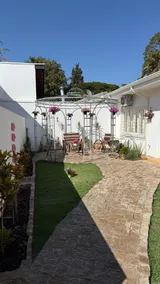 House among cafes and flowers - Image 2