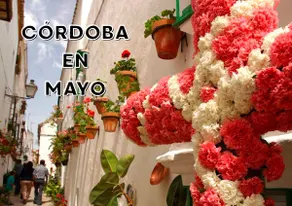 House with Private Patio and Garden. 20 minutes from Córdoba - Image 5