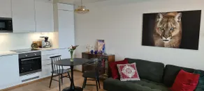 Stylish two-room apartment with sauna - Image 5