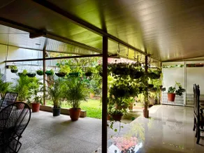Casa Paulina 2.0|Liberia Downtown - Image 5