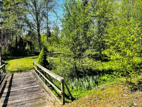 Tranquility in town - Image 4