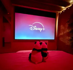 Coconut & Cinema Escape · 5 min Beauval Clim Zoo - Image 4
