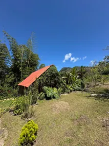 The Pretty Little Cabin - Rustic - Image 2