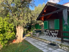 Olive Cabin - Image 2
