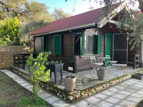 Olive Cabin - Image 3
