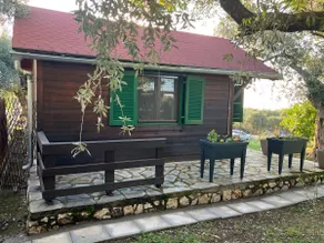 Olive Cabin - Image 5