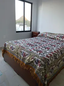 Olive Reef Downtown Condo - Image 3