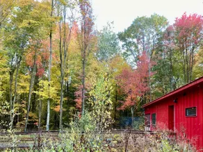 Modern Design in Nature | Luxe Escape - Image 4