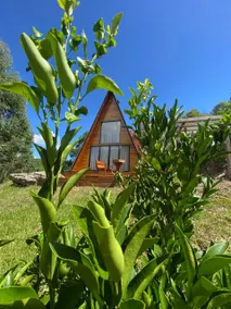 Mirante da Pedra Chalet - Image 2