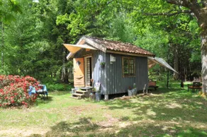 Cabin in the Forest - Image 2