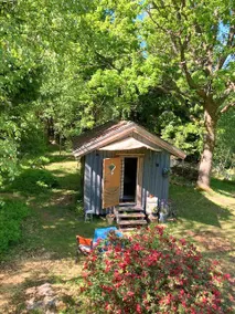 Cabin in the Forest - Image 5