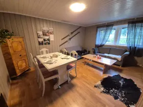 Lykke House Hot Tub, Grill Hut Northern Lights - Image 3