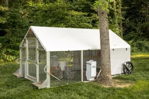 Zook Manor With farmland views & chicken coop - Image 5