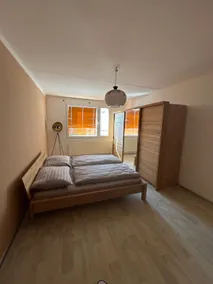 Comfortable apartment in Šumava - Nýrsko - Image 3