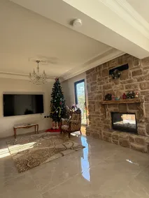 Villa with Pool, Jacuzzi and Fireplace - Image 5