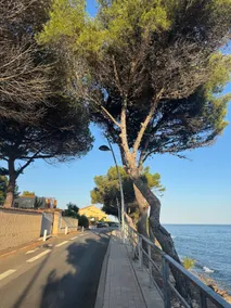 La Corniche Bleue - Image 4