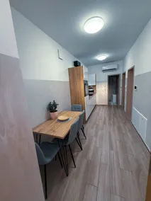 L Apartmnet II - Elegant accommodation in Maribor - Image 4