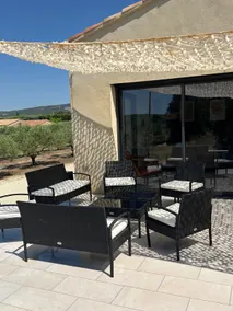 The olive grove - Image 2