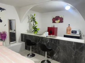 Loft-style apartment in Santa Catarina - Image 2