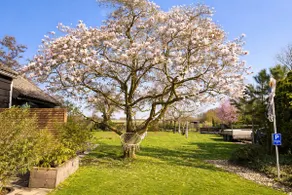 Studio Veerse Meer - Image 3