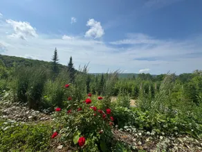 Chalet le Njord - Image 5