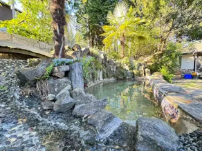 Reno 4BR Lynn Valley Family AC, 14k sf Yard & Pond - Image 4