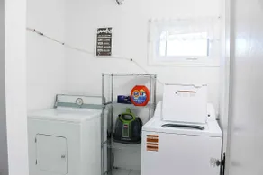 The English Daisy - Image 5