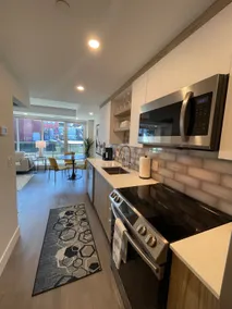 Downtown bright and modern 1 BR with 6 appliances - Image 5