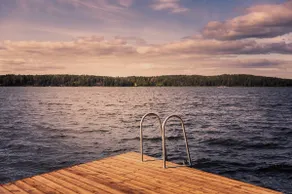 Stay North - Harmonia - Image 3