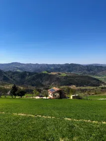 Podere Sode del Mardello - Image 2