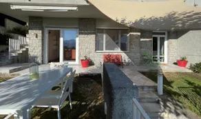 plumbago blue - Image 2