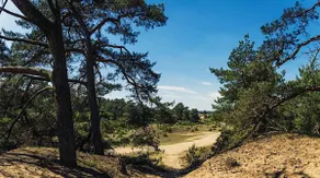 Charming Chalet on Park with Swimming Pool Restaurant and Bowling - Nationaal Park de Hoge Veluwe - Cozy Getaway Hoenderloo - Image 3