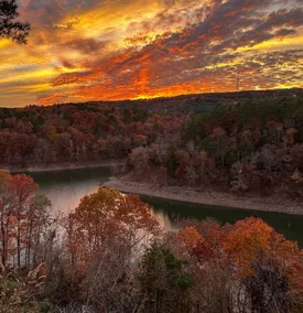 The Perch at Greers Ferry Lake - Image 4