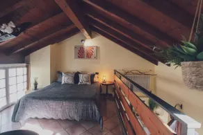 Rosy's barn - Image 2