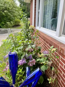 Little Hendo House - Image 3