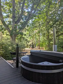 Onni - cosy forest cabin (hot tub/sauna -optional) - Image 3