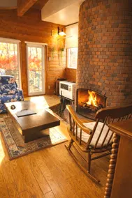 Hakodate, Onuma | Fireplace, open-concept living room | With garden | 4 bedrooms | Eldorado - Image 2