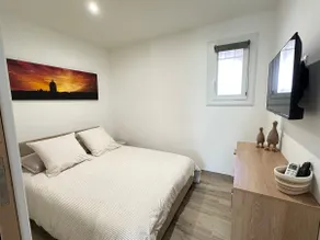 Cactus - Image 3