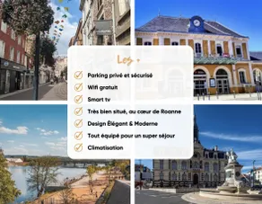 Orchid Parking & Air conditioning - Roanne city center - Image 4