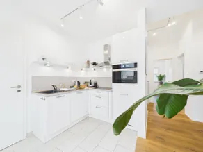Exclusive penthouse with parking & terrace - Image 5