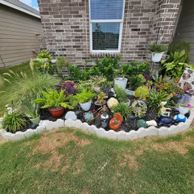 Plant Lovers Paradise - Image 3