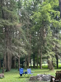 The Woods Edge Hideaway - Image 5