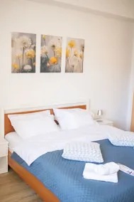 Apartman Viševac Vranje - Image 2