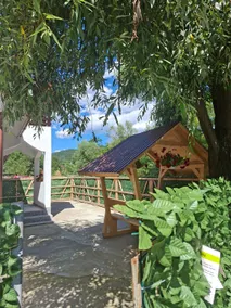 Altan's Gold-house in Hangu - Image 3