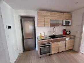 Dolensky Residence - Image 4