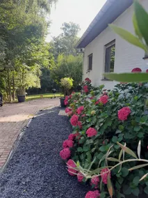 Bungalow La félicité - Image 2