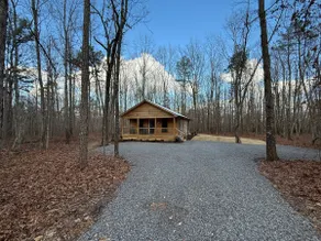 Fox Hole - Image 5