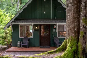 Fog & Fern Hideaway - Cozy Cabin w Private Hot Tub near Mt Rainier - Image 2
