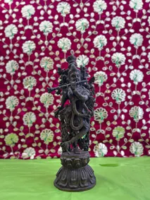 Luxury 2BHK - Leela Niwas - Ground Floor - Image 4